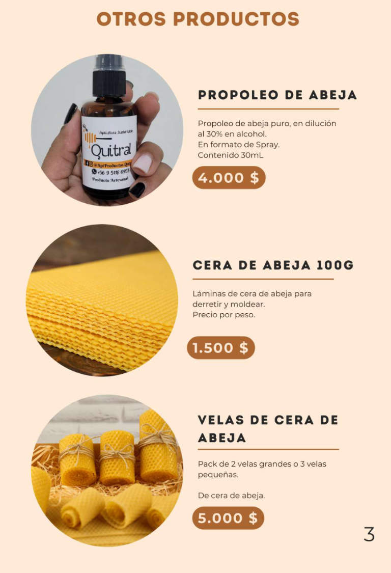 Captura de pantalla 2024 08 16 a las 2.04.58 a. m 768x1125